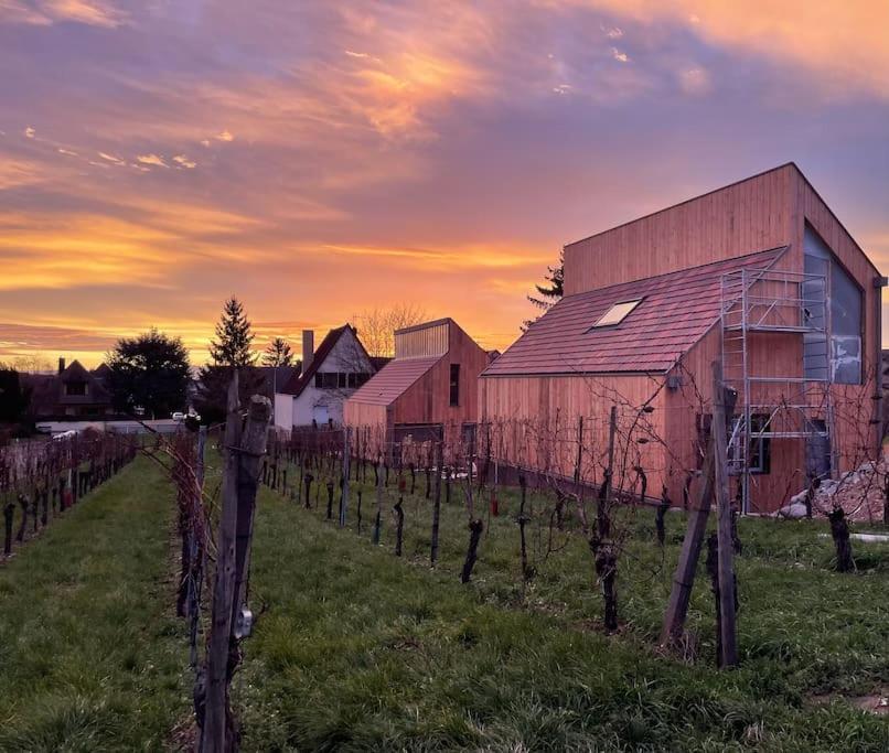 Le Cepage, Au Coeur Des Vignes. Villa Eguisheim Exterior photo